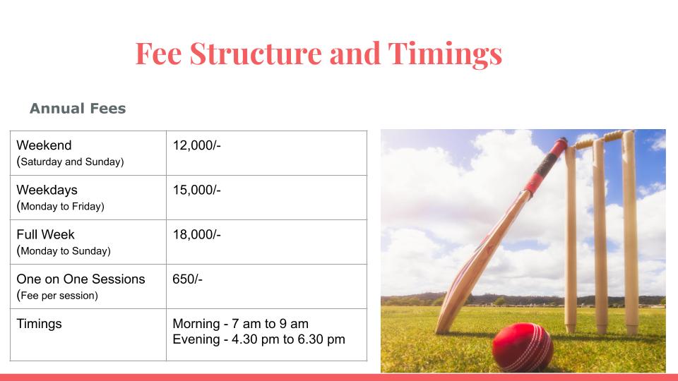 fee structure and timing